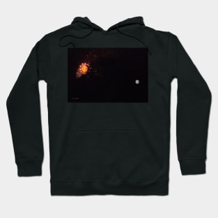 3rd of July Fireworks 8 Hoodie